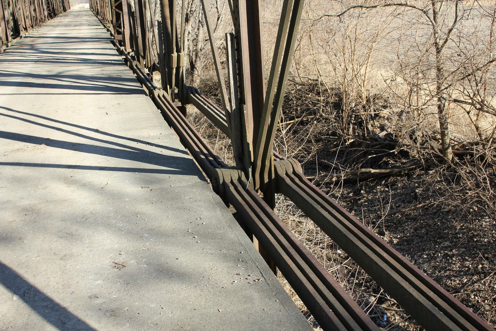 Bottom chord, west span (span #4)